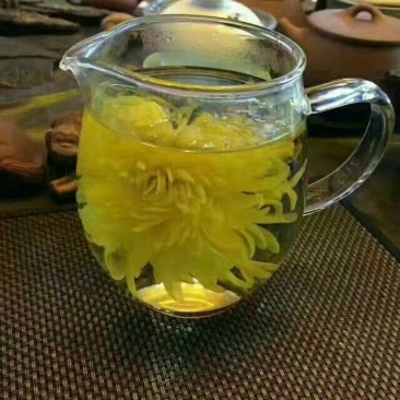 元甲山牌金丝皇菊