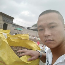 仙人洞野生茶籽批发