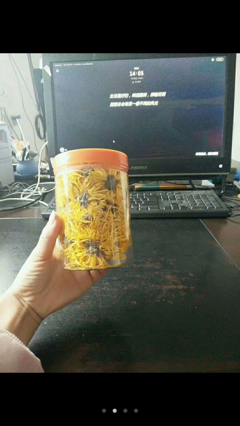 元甲山牌金丝皇菊