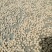 大，中，小，齐全量大从优