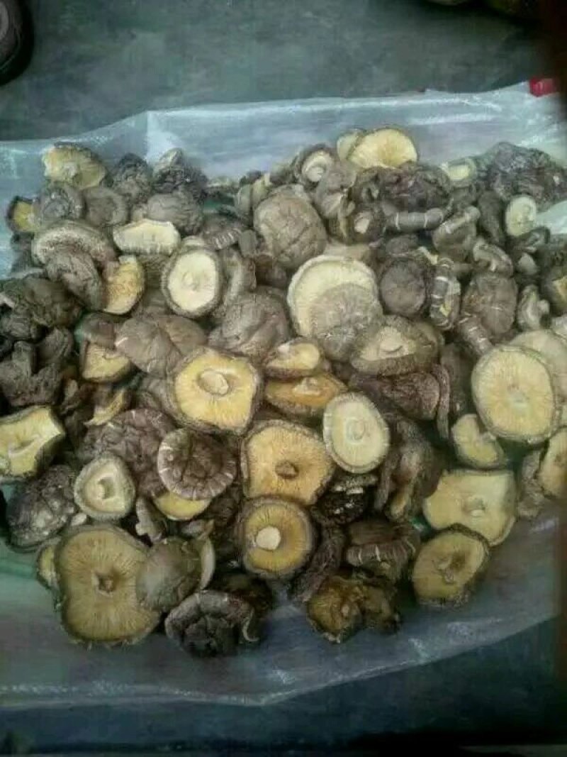 干香菇厚菇带料