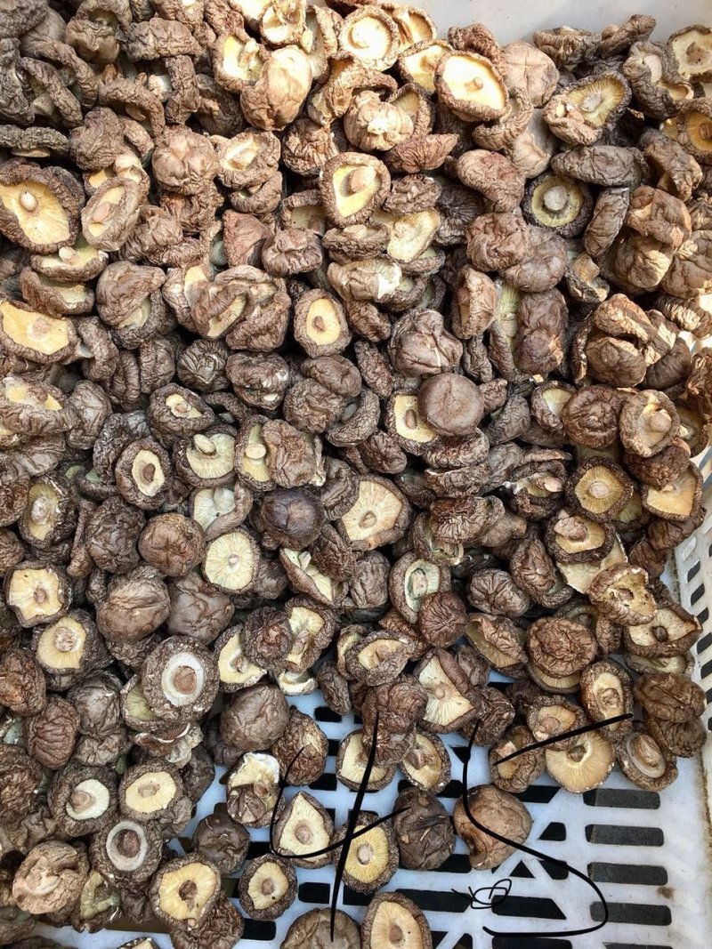 干香菇厚菇带料