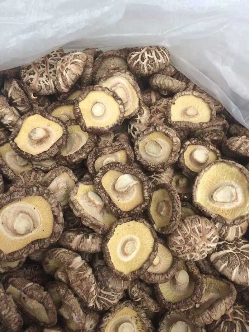 干香菇厚菇带料