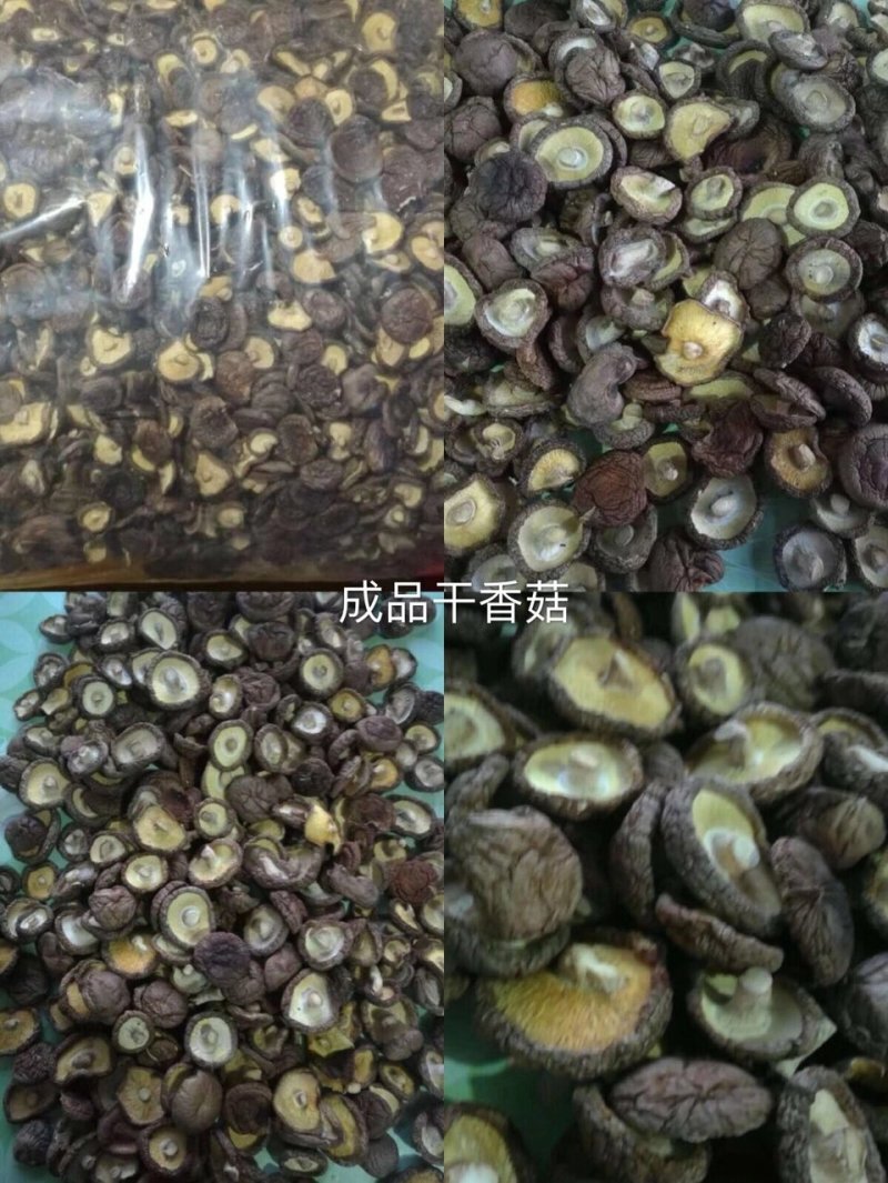 干香菇厚菇带料
