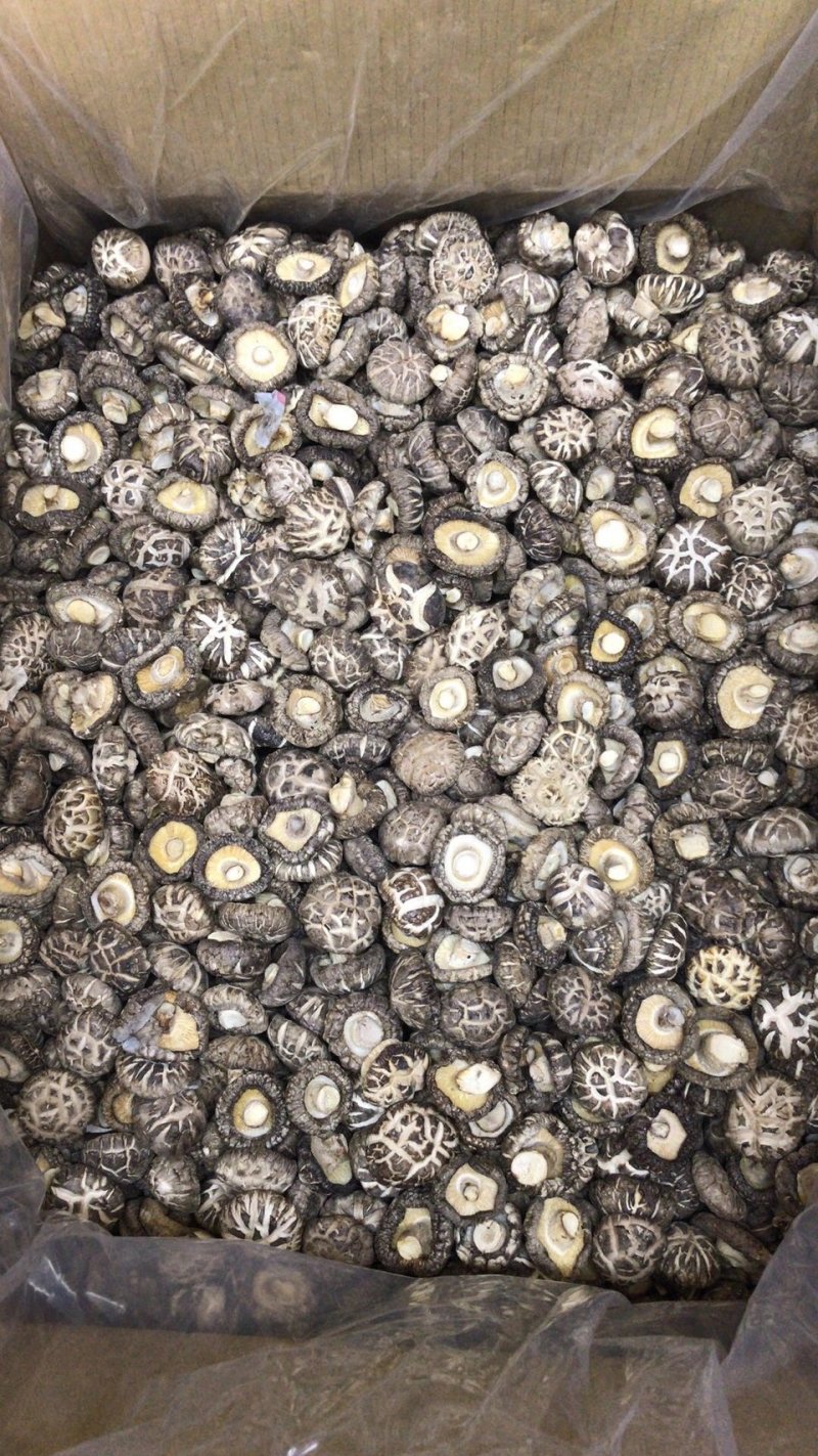 干香菇厚菇带料