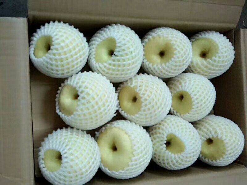 （砀山酥梨）