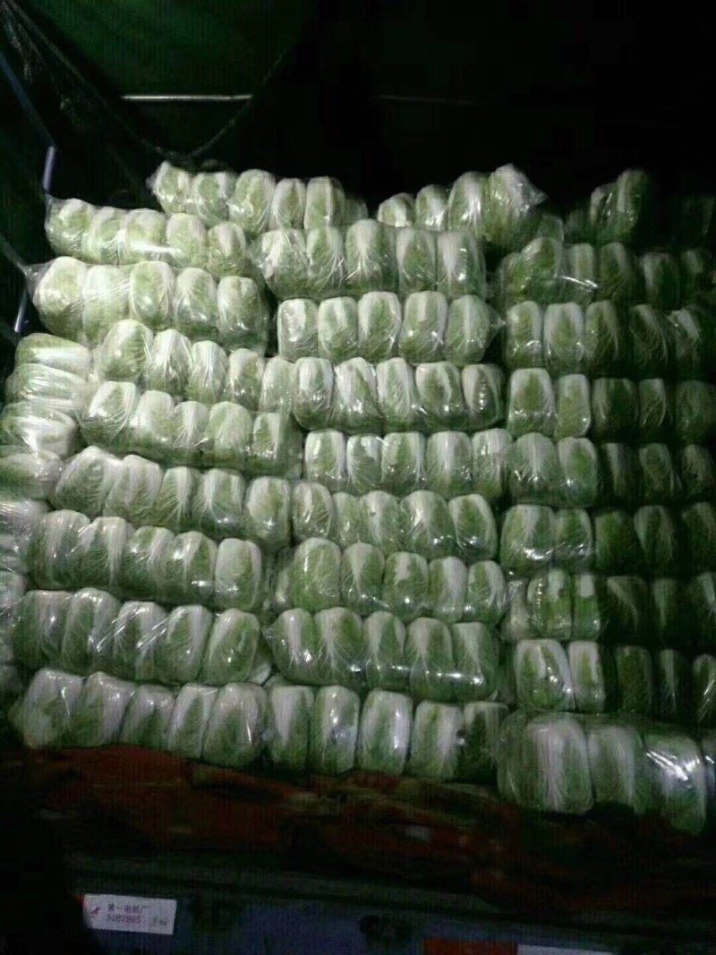 鲜白菜优质精品，基地直供，绿翠源果蔬专业合作社
