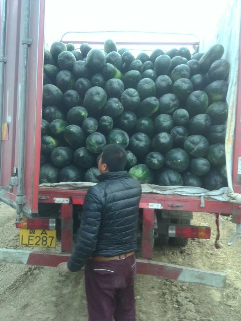 黑皮冬瓜