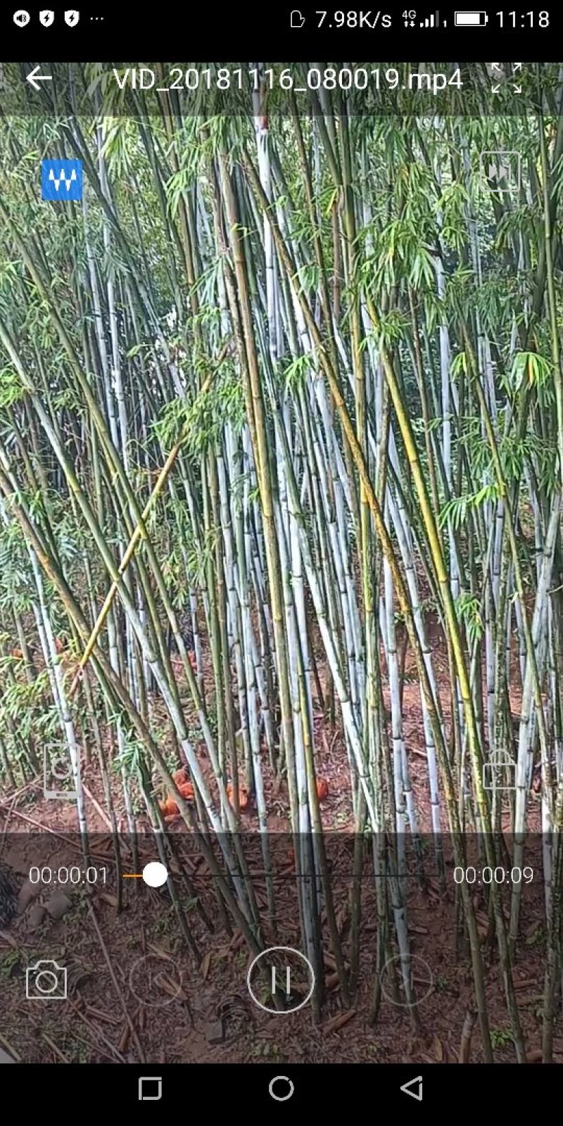 竹编产品