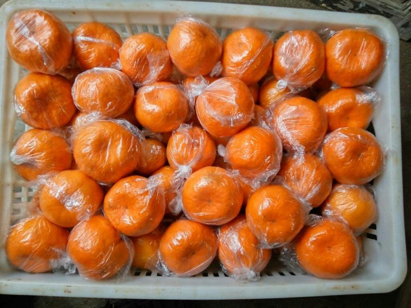 椪柑，非永春芦柑，个大味美，清甜可口，欢迎品偿。