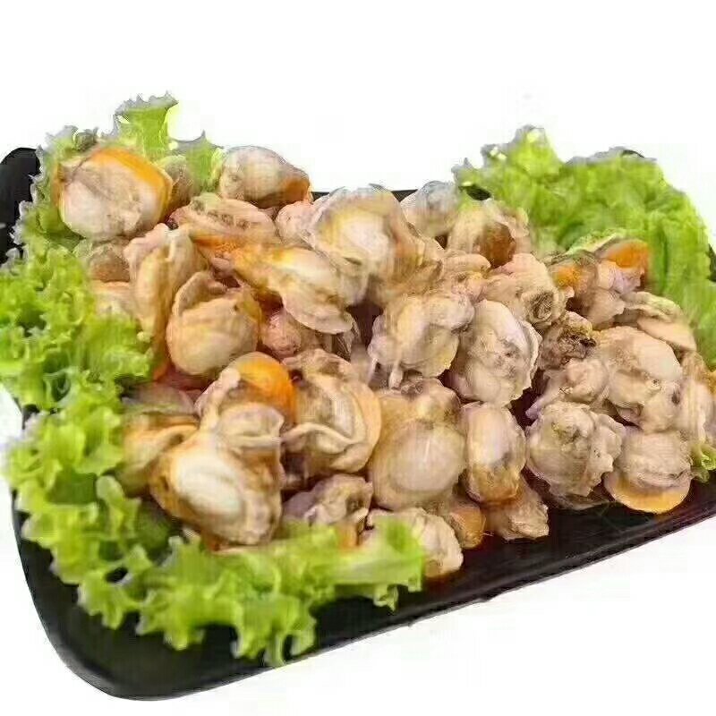 扇贝肉.95元5斤现拨发货特岗别新鲜