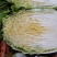 黄心白菜，毛菜7斤以上，净菜4-6斤