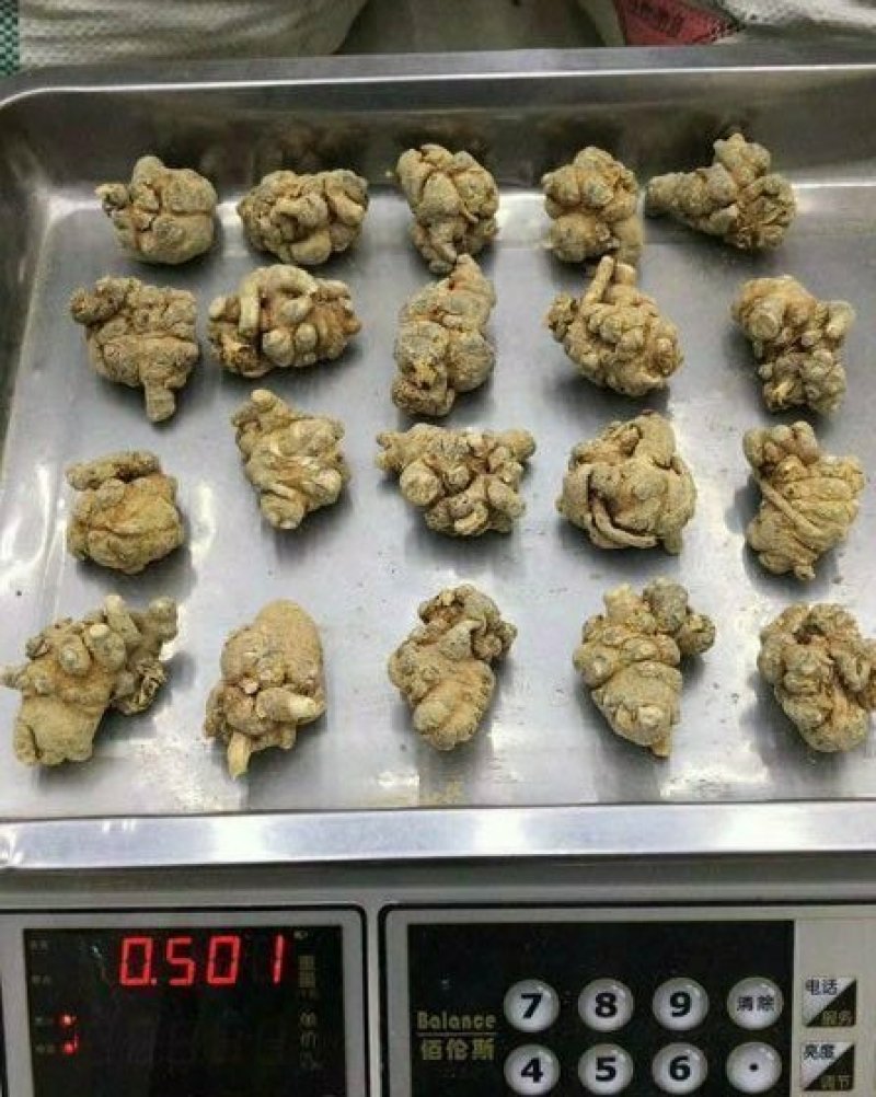 三七20头