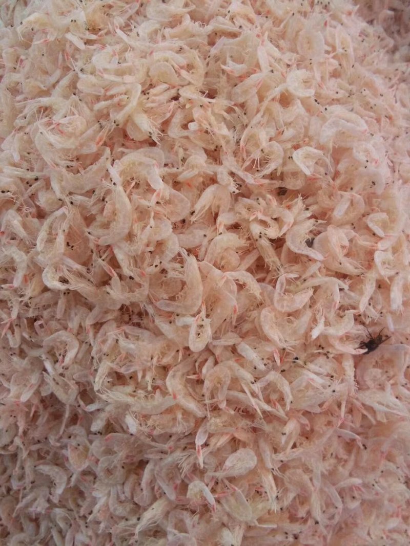 烘干海虾，虾仁，虾皮