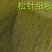 养殖业的无抗绿色饲料原料植物性添加剂～松针粉