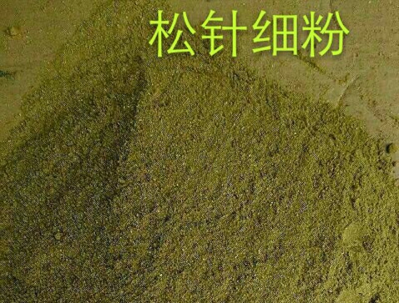 养殖业的无抗绿色饲料原料植物性添加剂～松针粉