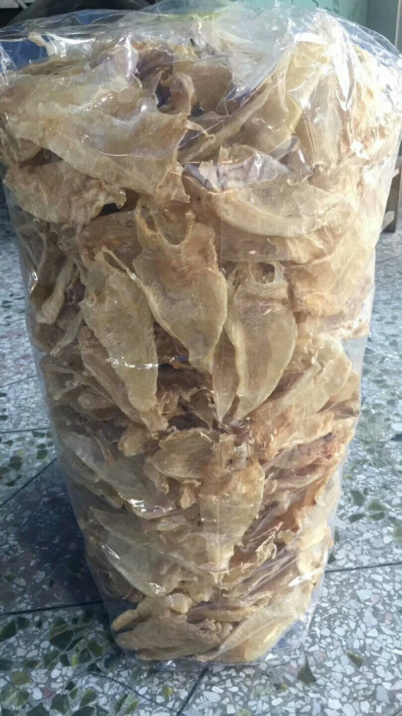 16头大口鱼胶