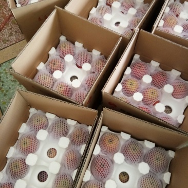 膜袋红富士10斤净重一箱一件代发