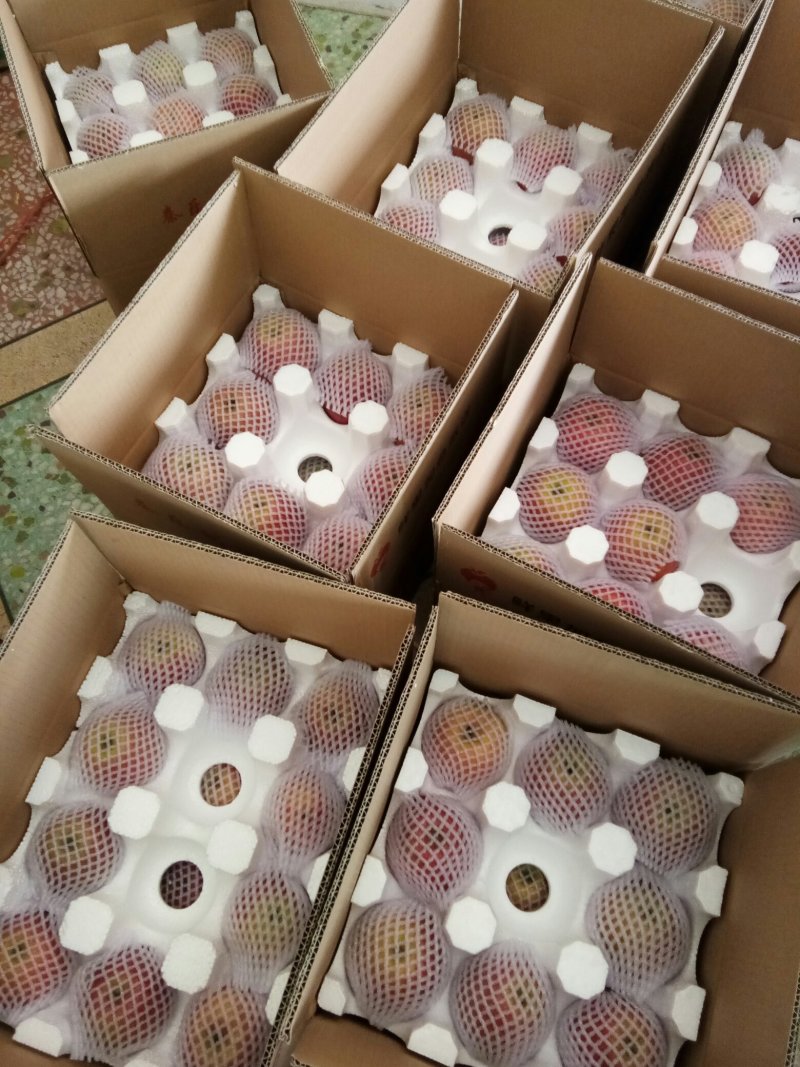 膜袋红富士10斤净重一箱一件代发