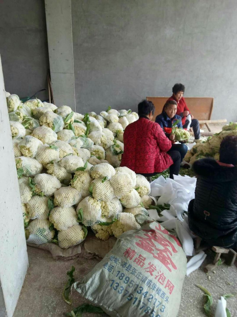 散花花菜