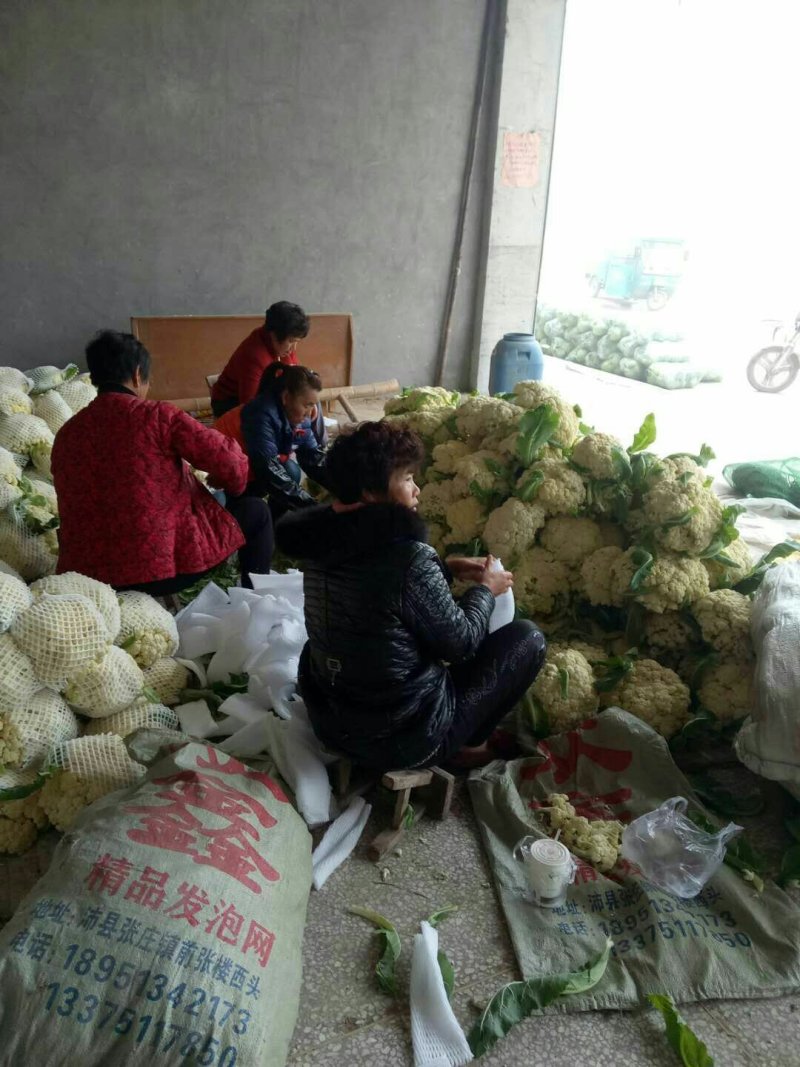 散花花菜