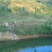 山地出租，