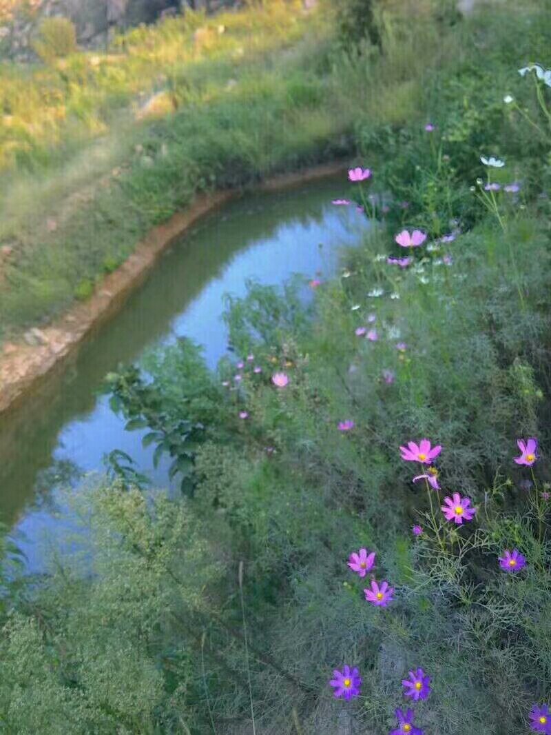 山地出租，