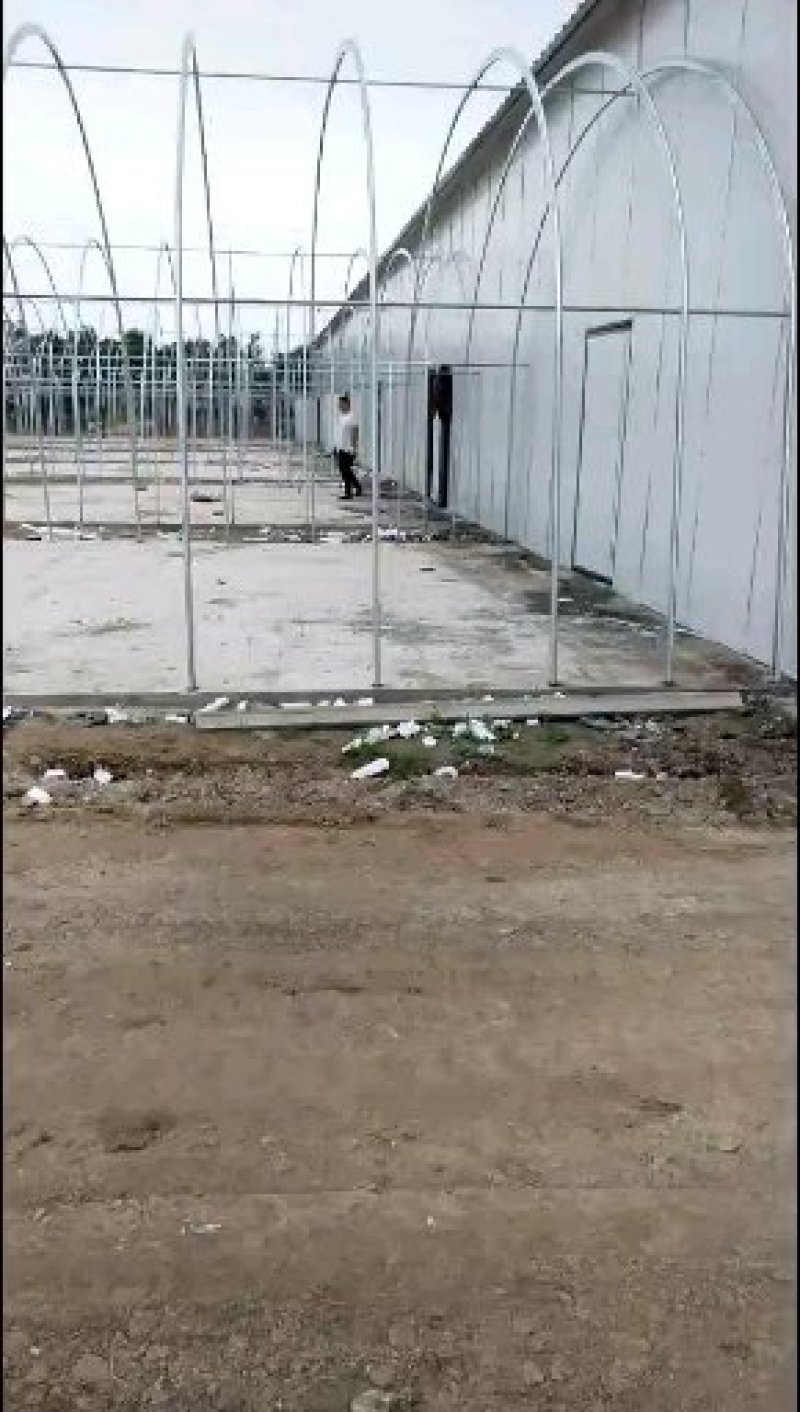 温室大棚