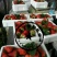 辽东草莓🍓