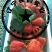 辽东草莓🍓