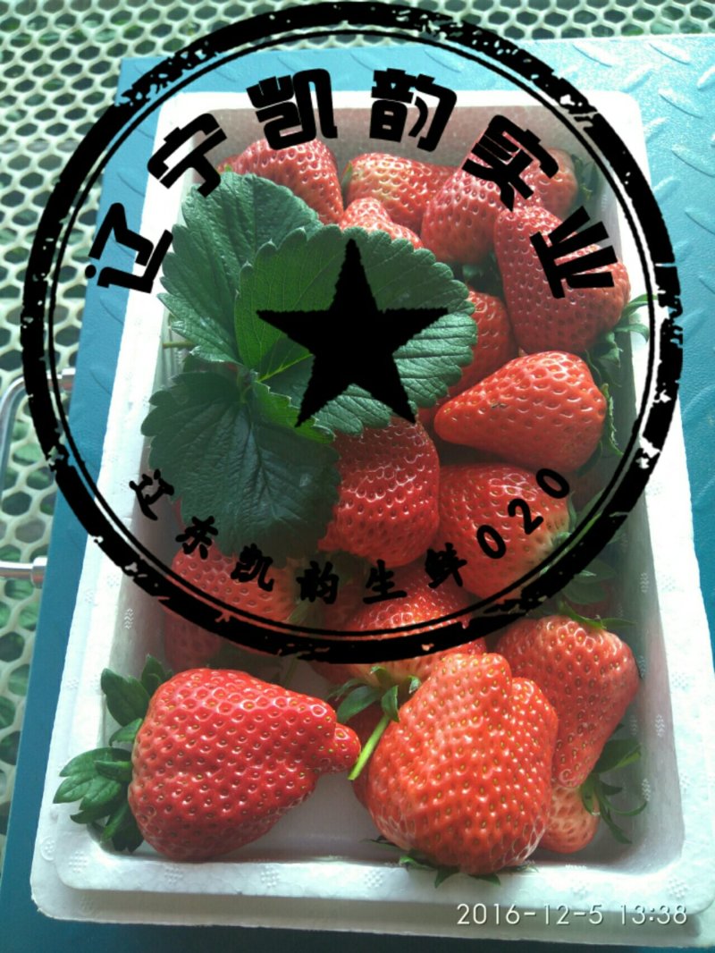 辽东草莓🍓