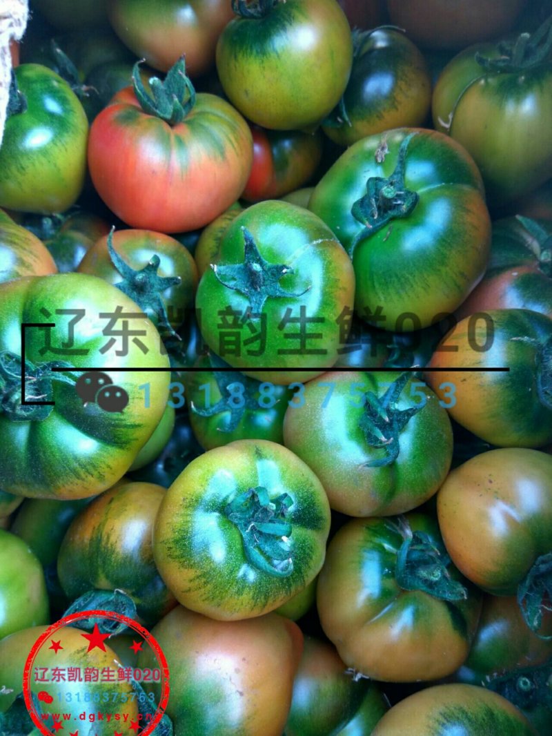 草莓柿子