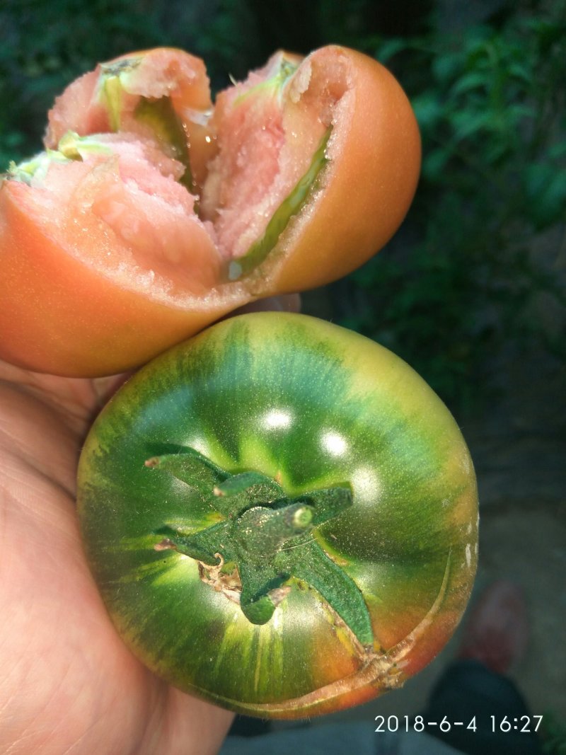 草莓柿子
