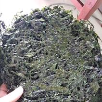 厂家直供深度烘干绿紫菜500g（巨鲸水产出品）