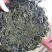 厂家直供深度烘干绿紫菜500g（巨鲸水产出品）