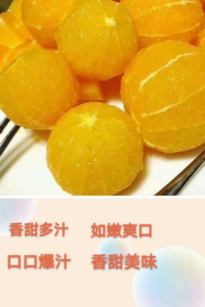 椪柑