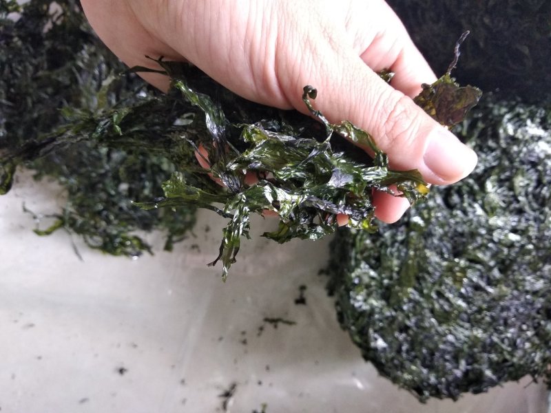 厂家直供深度烘干绿紫菜500g（巨鲸水产出品）