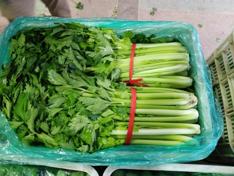 莴笋芹菜大量上市