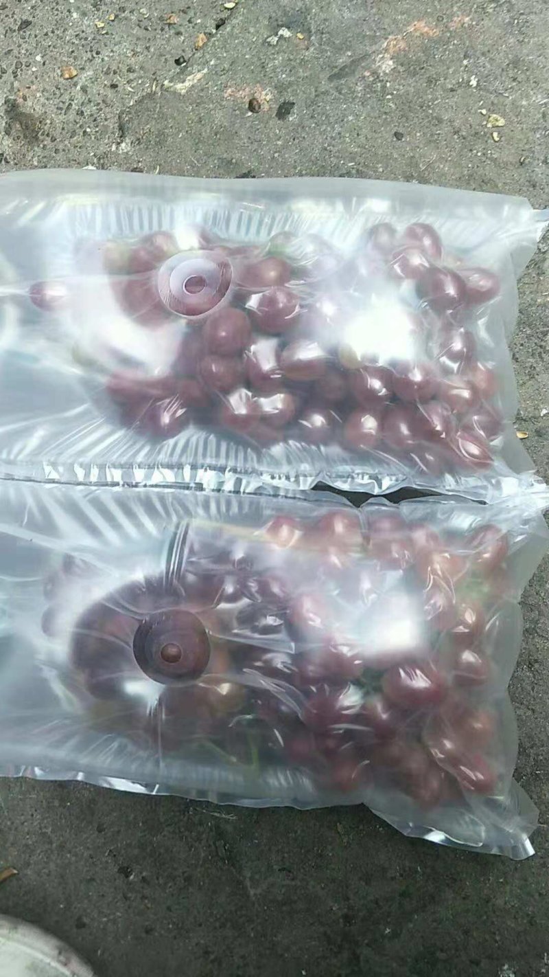葡萄克伦生支持一件代发空运落地配