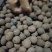盆栽土陶粒土培陶粒底砂陶粒砂陶粒球陶土粒盆栽垫底