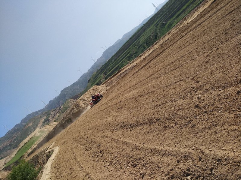 旱地适应种植药材小杂粮经济林