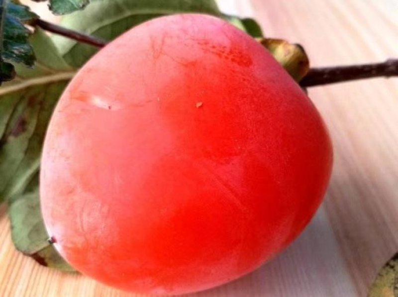 富平柿饼