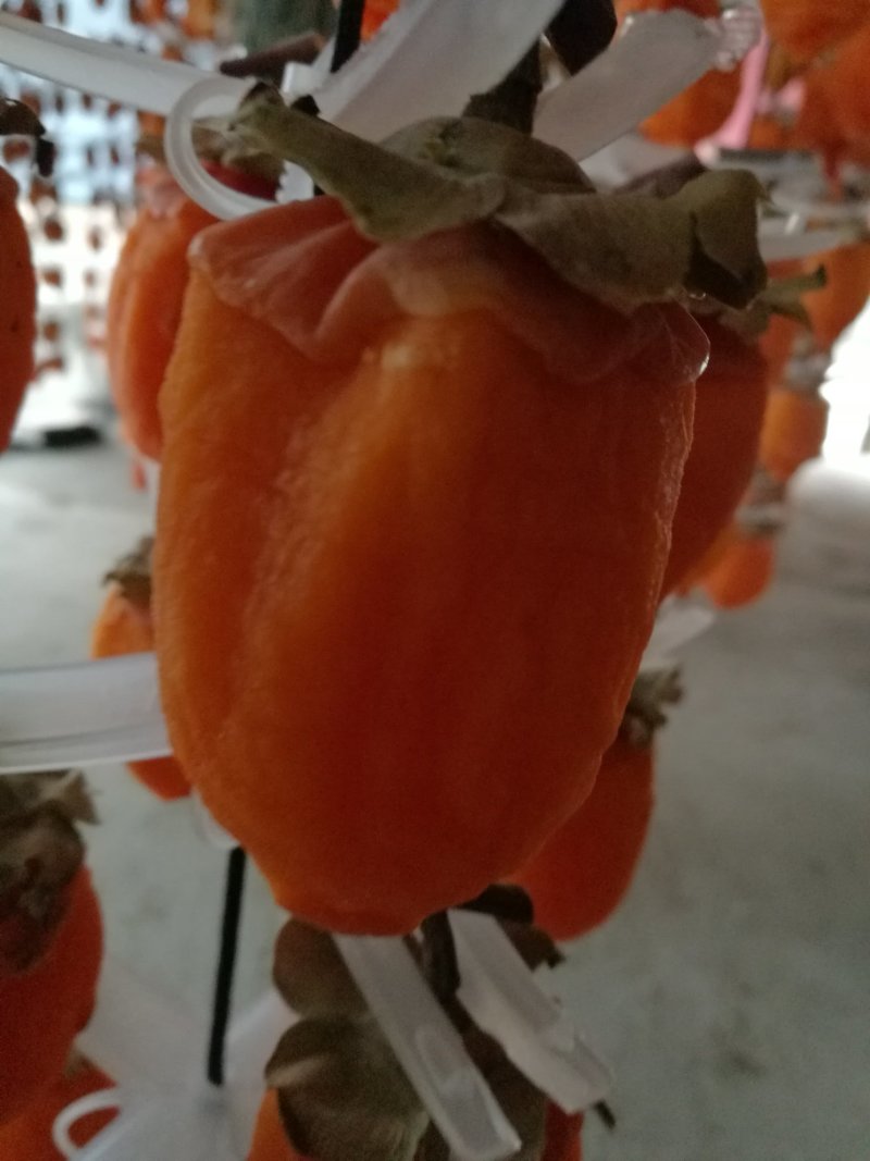 富平柿饼