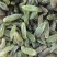 绿香妃，薄皮核桃，红枣，胎菊，和田玫瑰花茶，石榴，马肉。