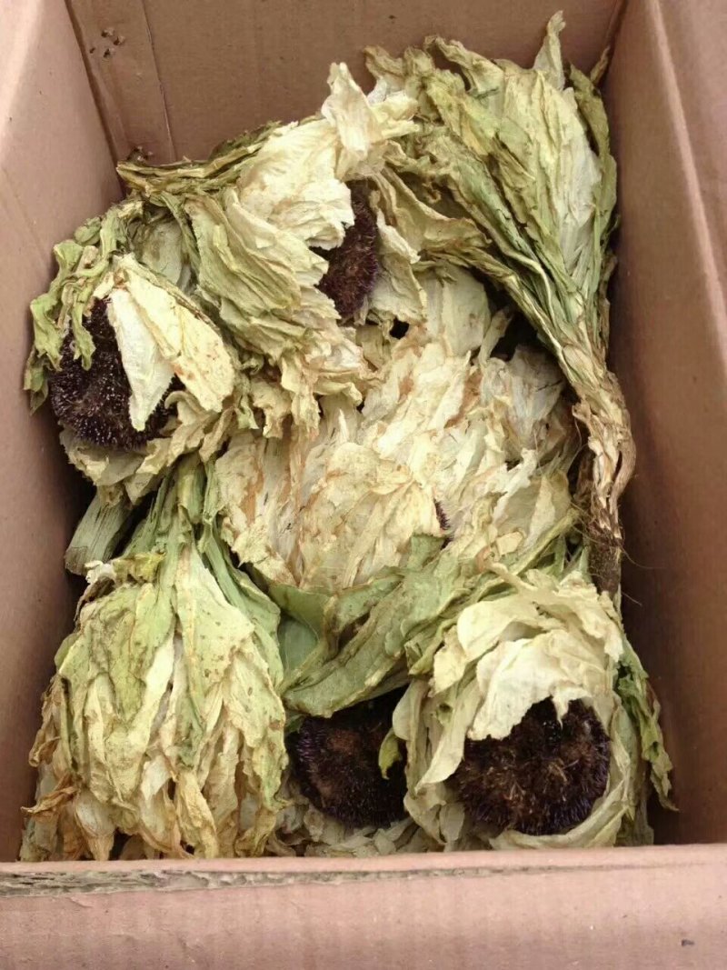 绿香妃，薄皮核桃，红枣，胎菊，和田玫瑰花茶，石榴，马肉。