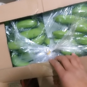 云南香蕉