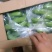 云南香蕉