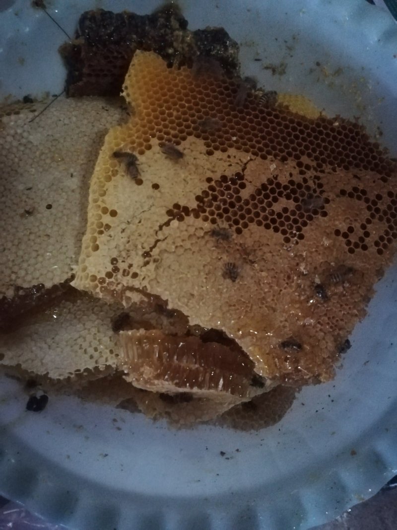 纯野蜂蜜，