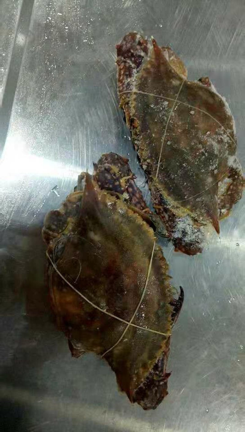 鳗鱼，带鱼，尤鱼，小黄鱼，小鲳鱼，小墨鱼