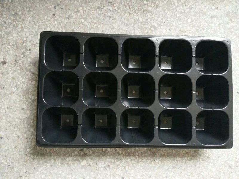 塑料穴盘